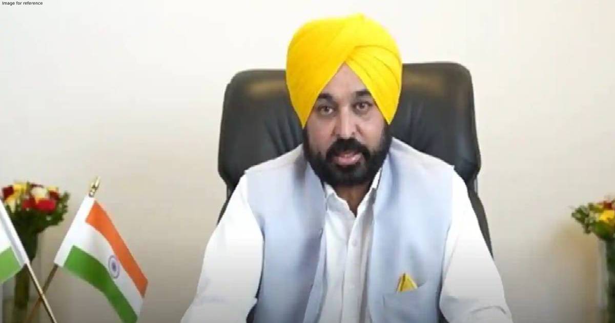 Punjab: CM Mann announces hikes in crop loss compensation